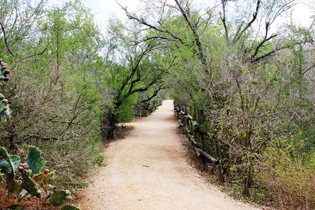 Harlingen, Texas